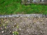 image of grave number 697481